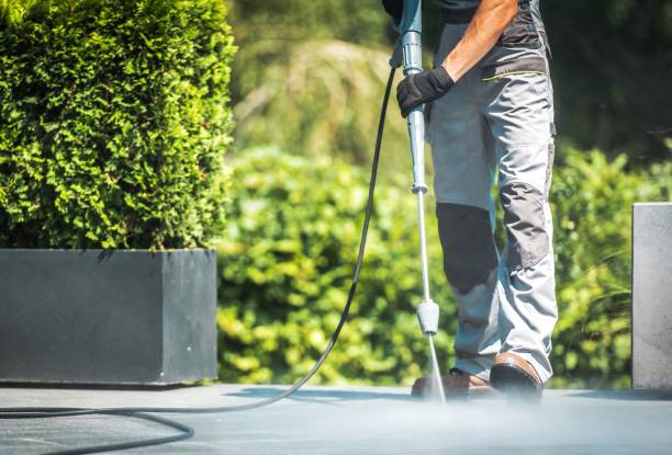 Best Fence Cleaning  in Tipton, IA