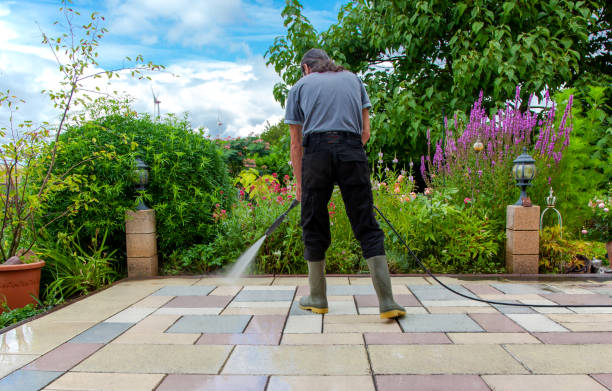 Best Fence Cleaning  in Tipton, IA
